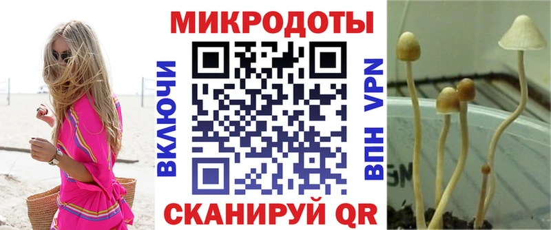 Псилоцибиновые грибы Magic Shrooms Назрань
